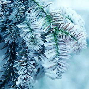 天天狠狠色噜噜
